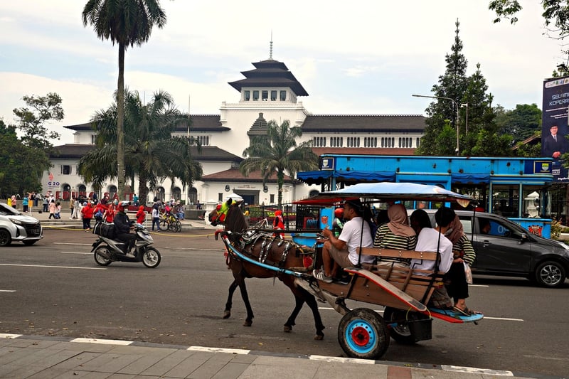 Horse-Drawn Carriages